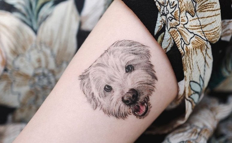 Tatuaje de perro: 80 ideas para eternizar el amor por tu mascota