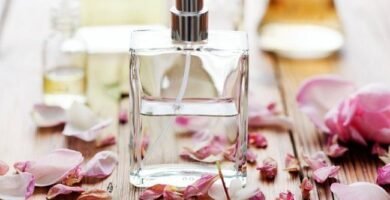 Descubre los perfumes importados más vendidos en internet